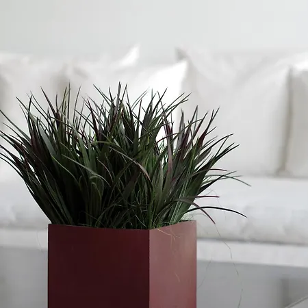 The Ultimate Place דירה צ'רנוביו